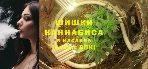 дживик Ладушкин