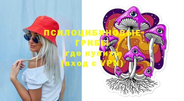 дживик Ладушкин